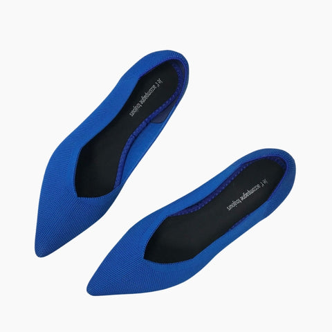 Blue Pointed-Toe, Slip-On : Ballet Flats : Hoora - 0516HoF