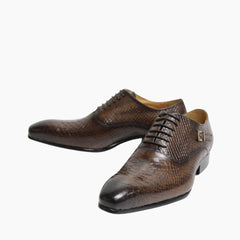 Brown Pointed-Toe, Lace-Up : Oxford Shoes for Men : Purakha - 0563PuM